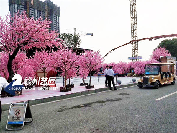 赣州假树