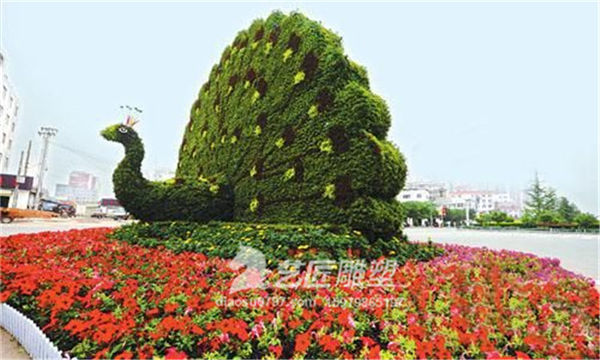 赣州园艺 赣州立体园艺