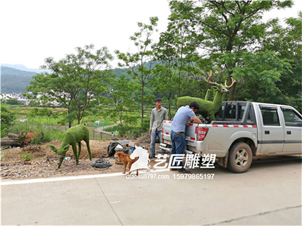 赣州植物绿雕 赣州绿雕厂